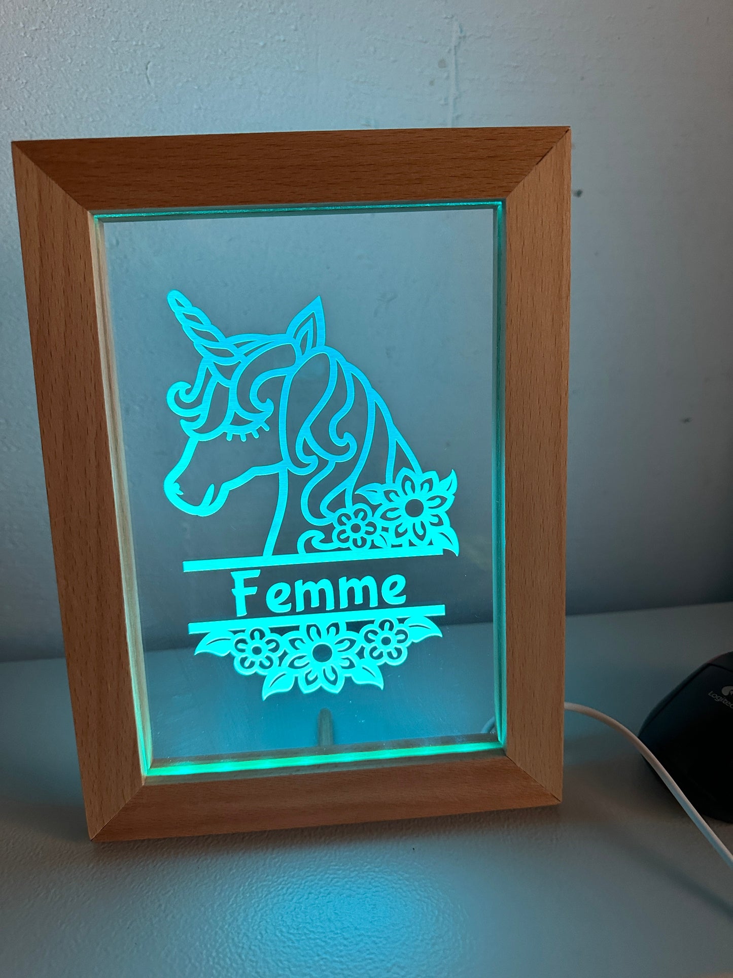 Led lijstje met gravure Speksnijder Laser Service